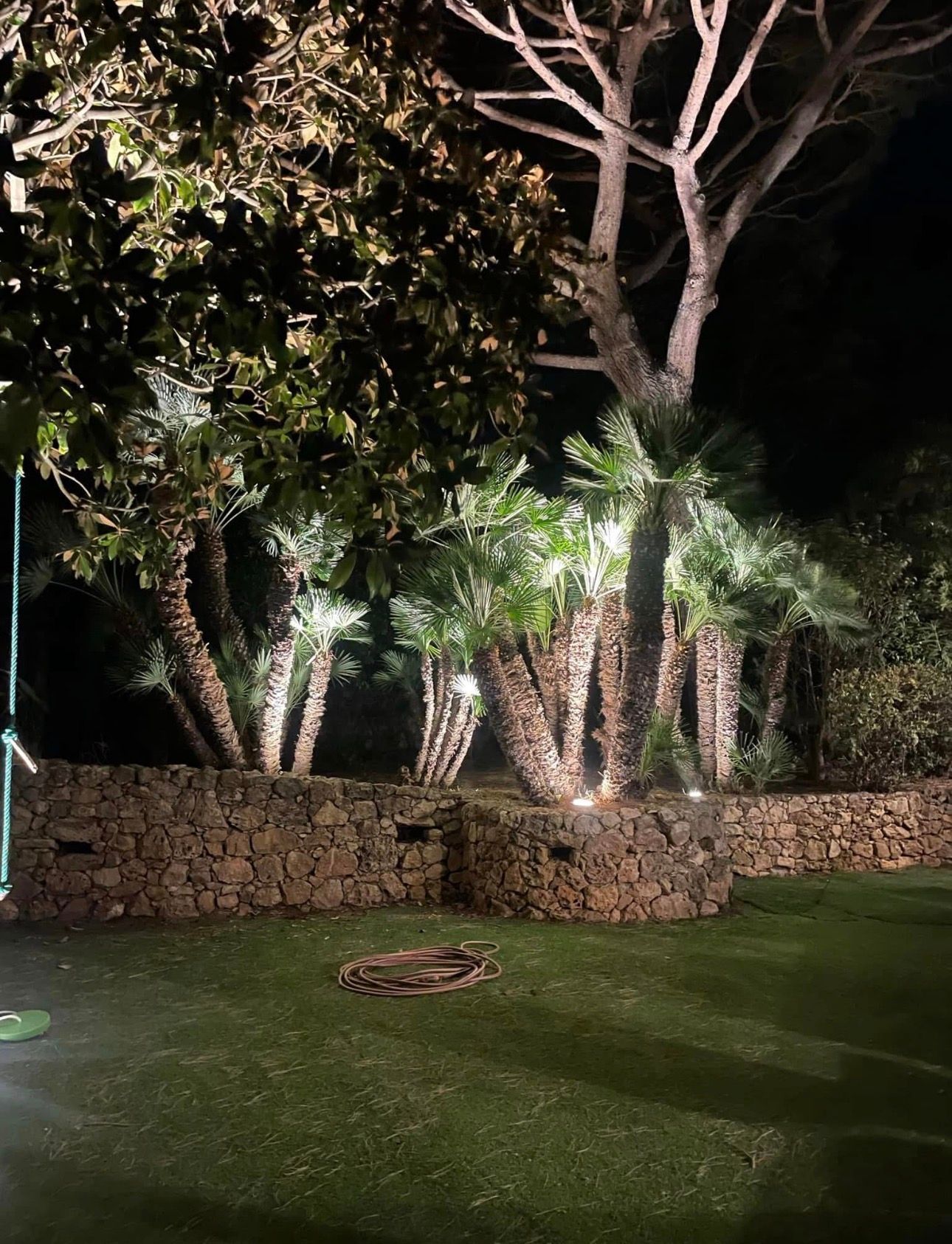 Jardin nocturne avec palmiers illuminés, mur de pierre et pelouse verte sous un ciel sombre.