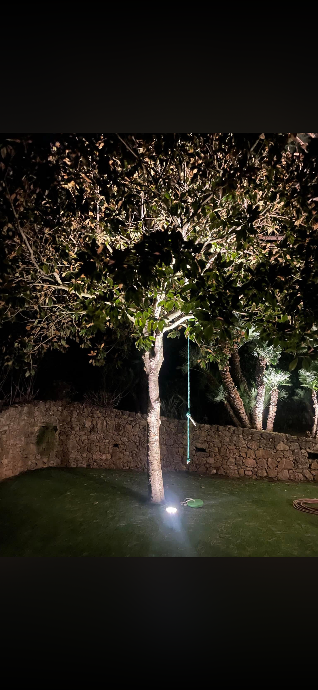 Arbre illuminé dans un jardin la nuit, éclairé par en dessous, avec un mur de pierre derrière lui.