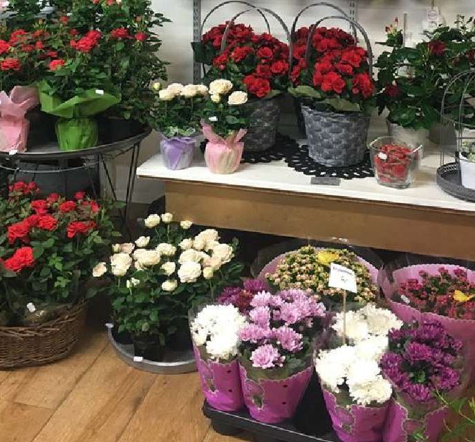 Kukkakauppa ja Hautauspalvelu Venlan kukkavalikoimaa