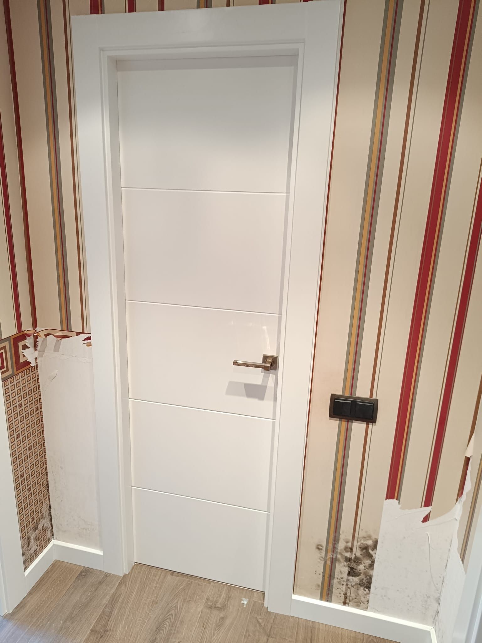 Una puerta blanca con incrustaciones metálicas 