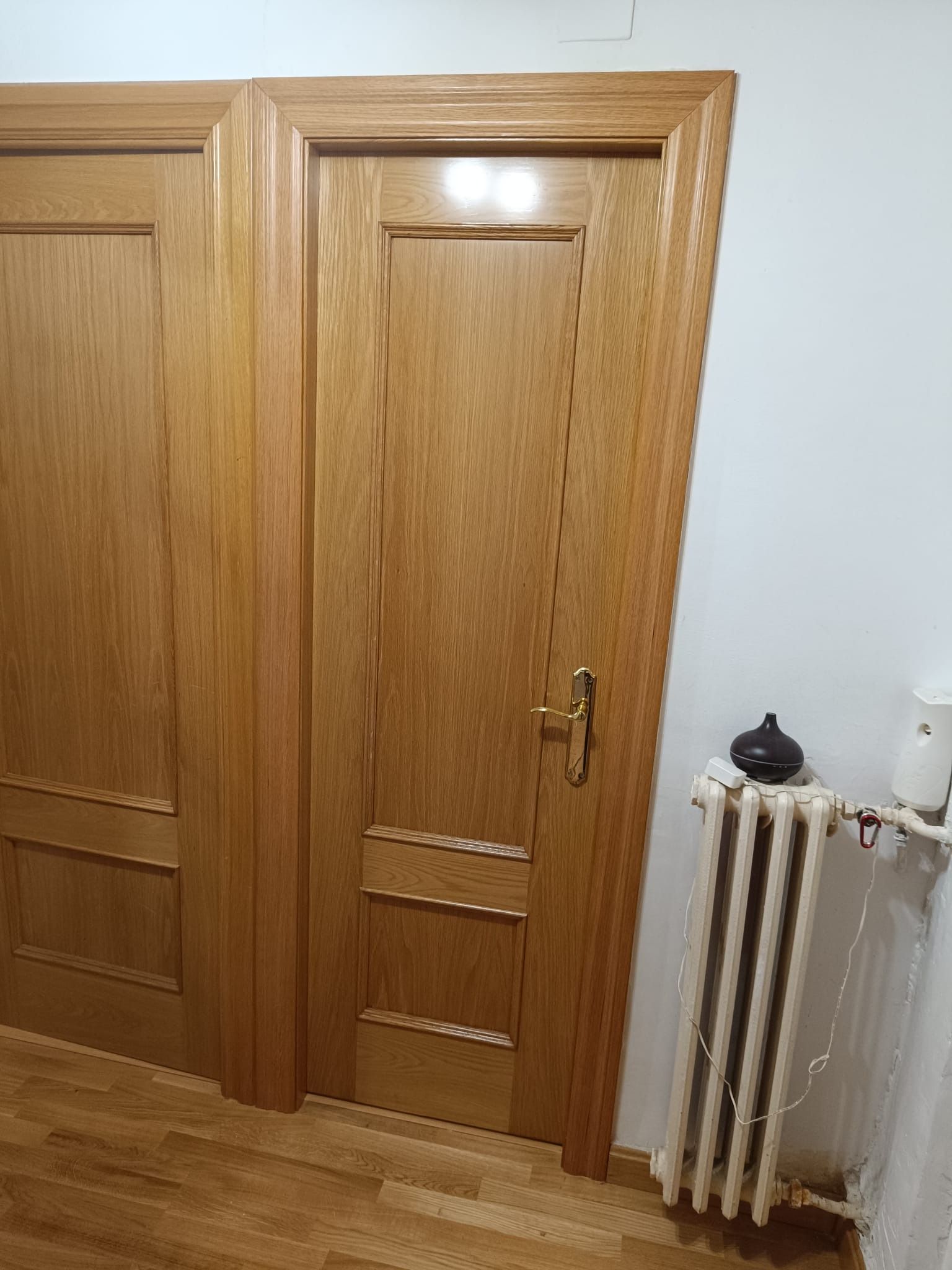 Dos puertas de madera de color 