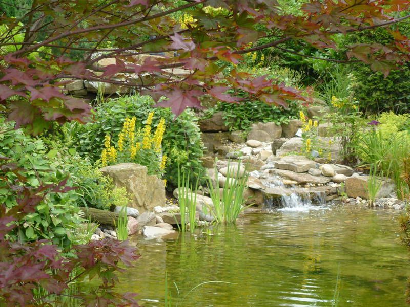 grüner Vorgarten eckig