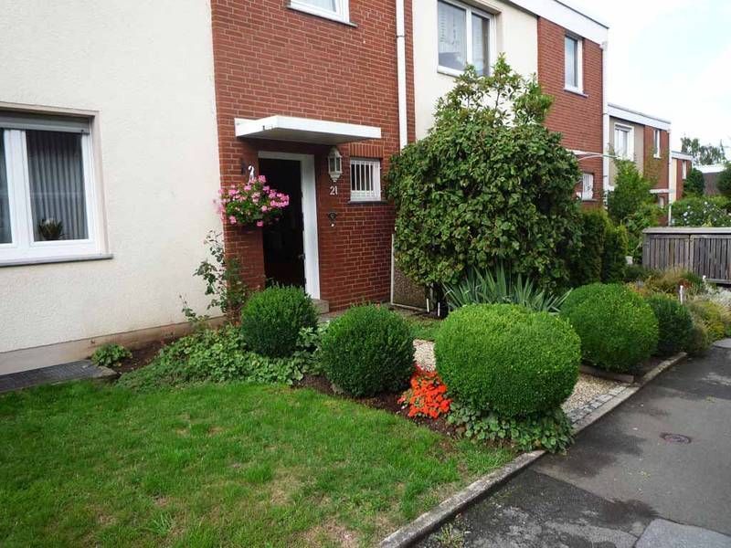 Vorgarten begrünt vorher