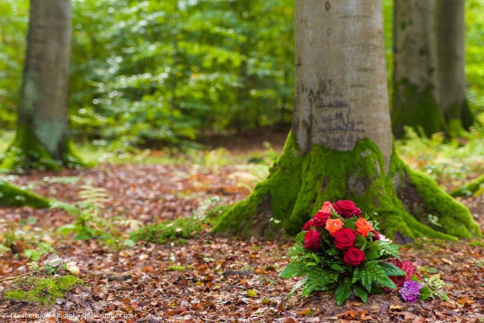 Rote Blüten am Fuße eines moosbewachsenen Baumes in einem grünen Wald.