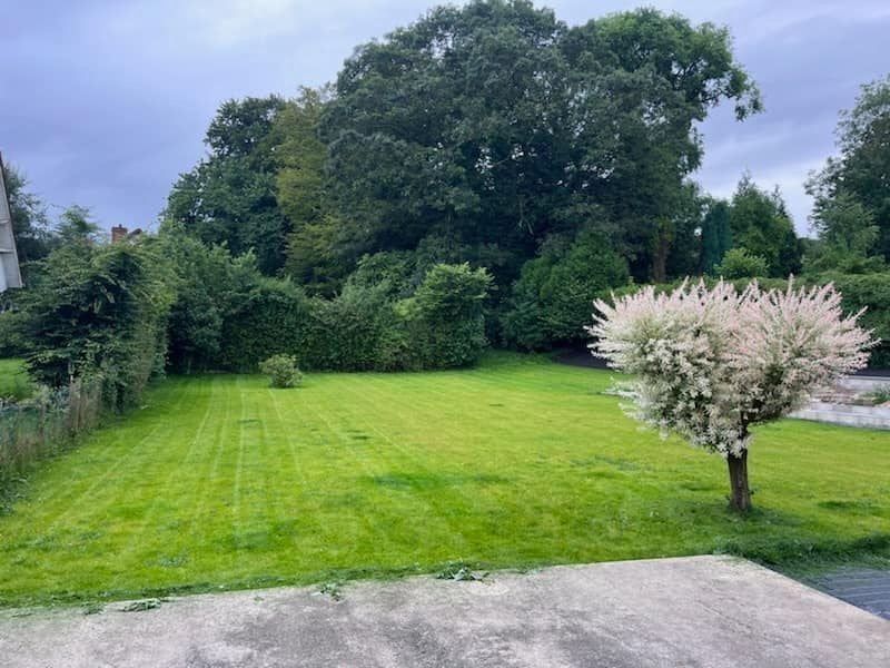 Espace vert rénové et verdoyant