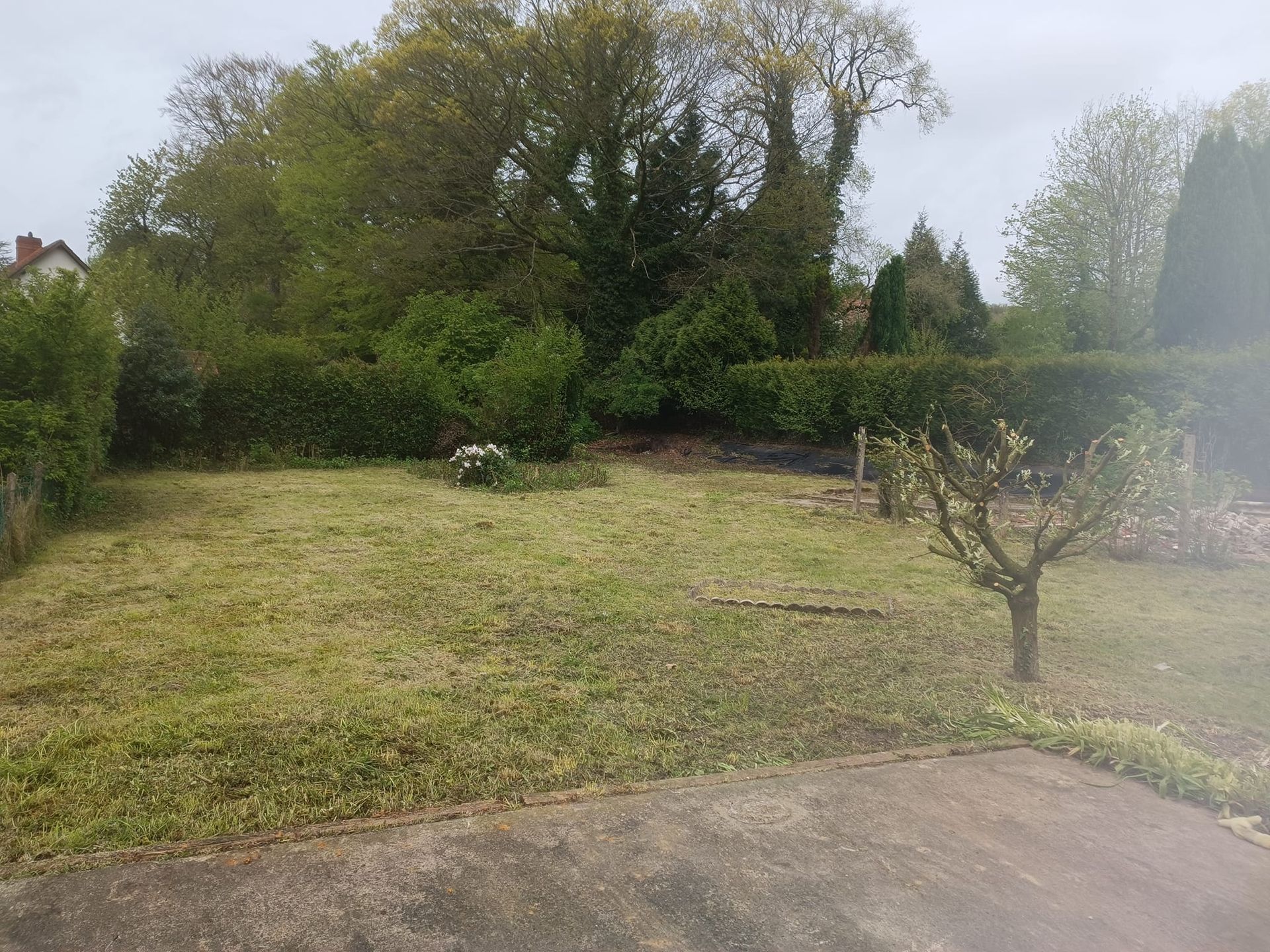 Débroussaillage de l'espace vert