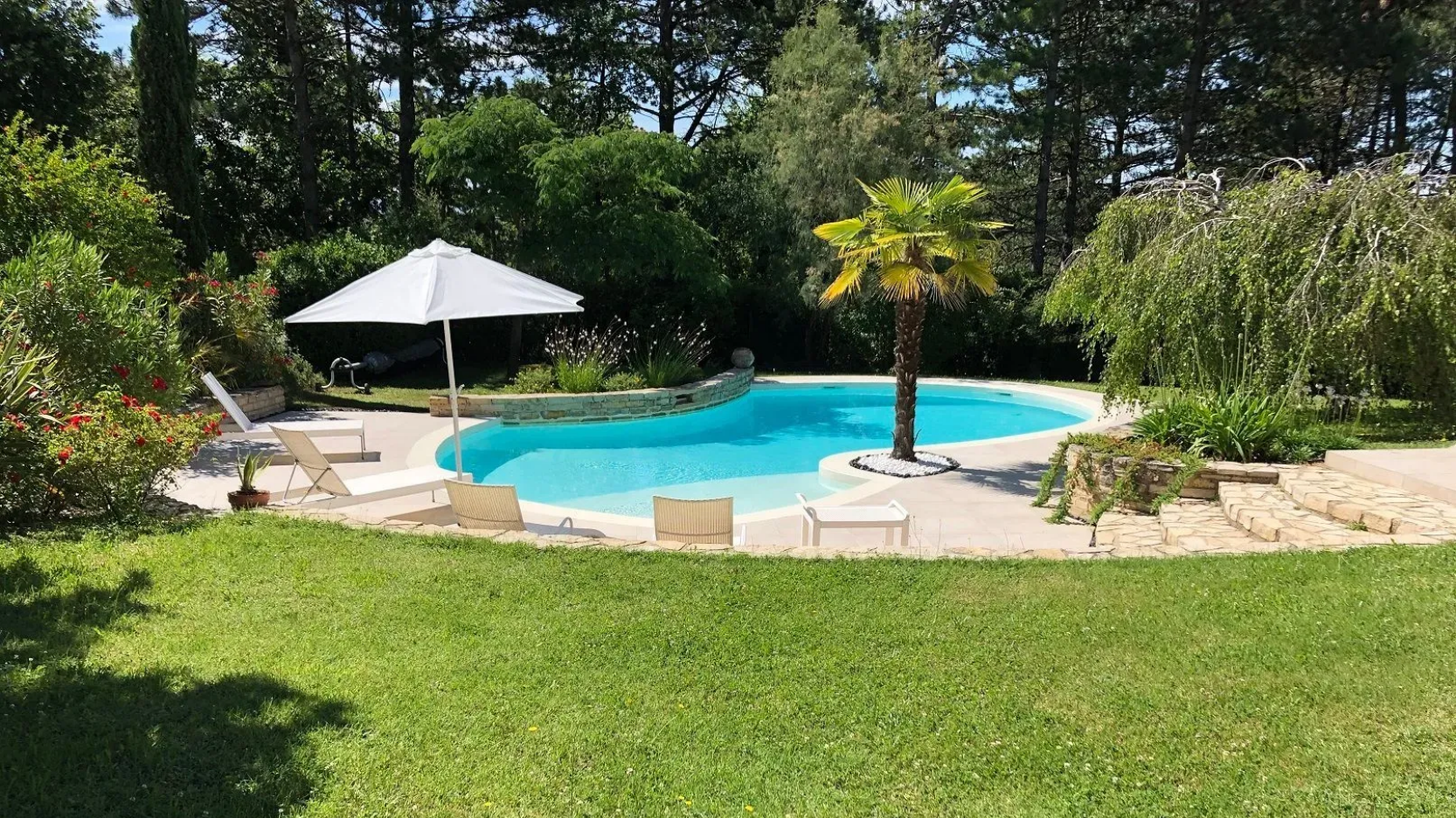 Une piscine dans un jardin avec un palmier, un parasol blanc et des chaises longues, entourée de pelouse et d'arbres.