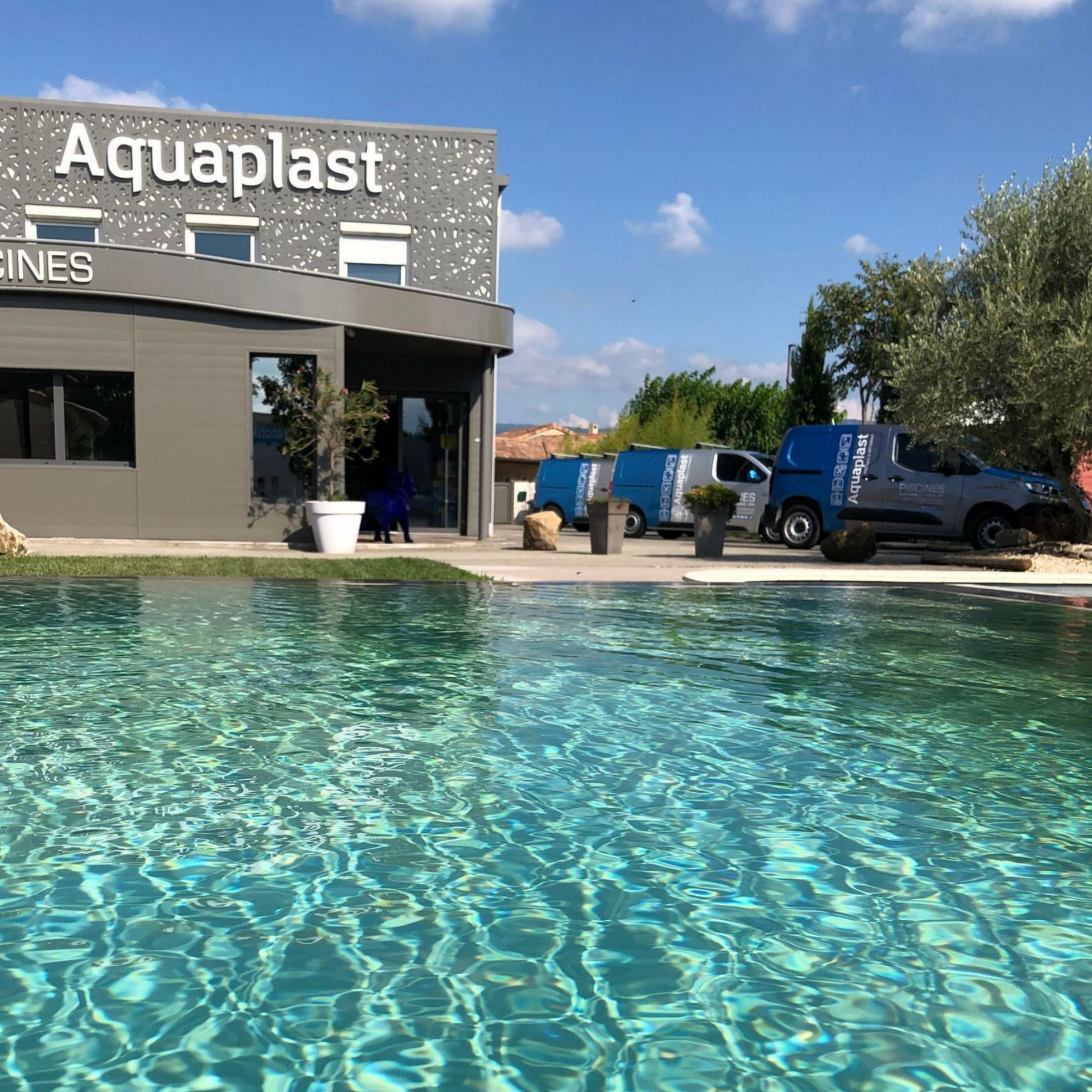 Un jardin avec une petite piscine, une pelouse et une végétation luxuriante, comprenant un grand cyprès et des fleurs roses.