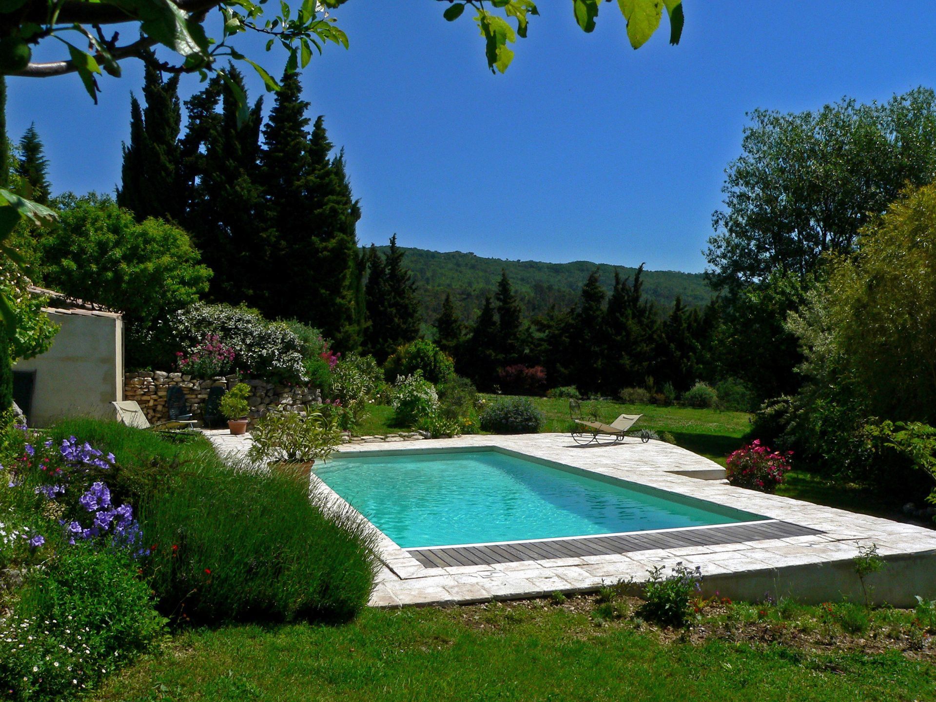 Piscine dans un jardin ensoleillé avec pelouse verte, arbustes, arbres et collines au loin sous un ciel bleu.