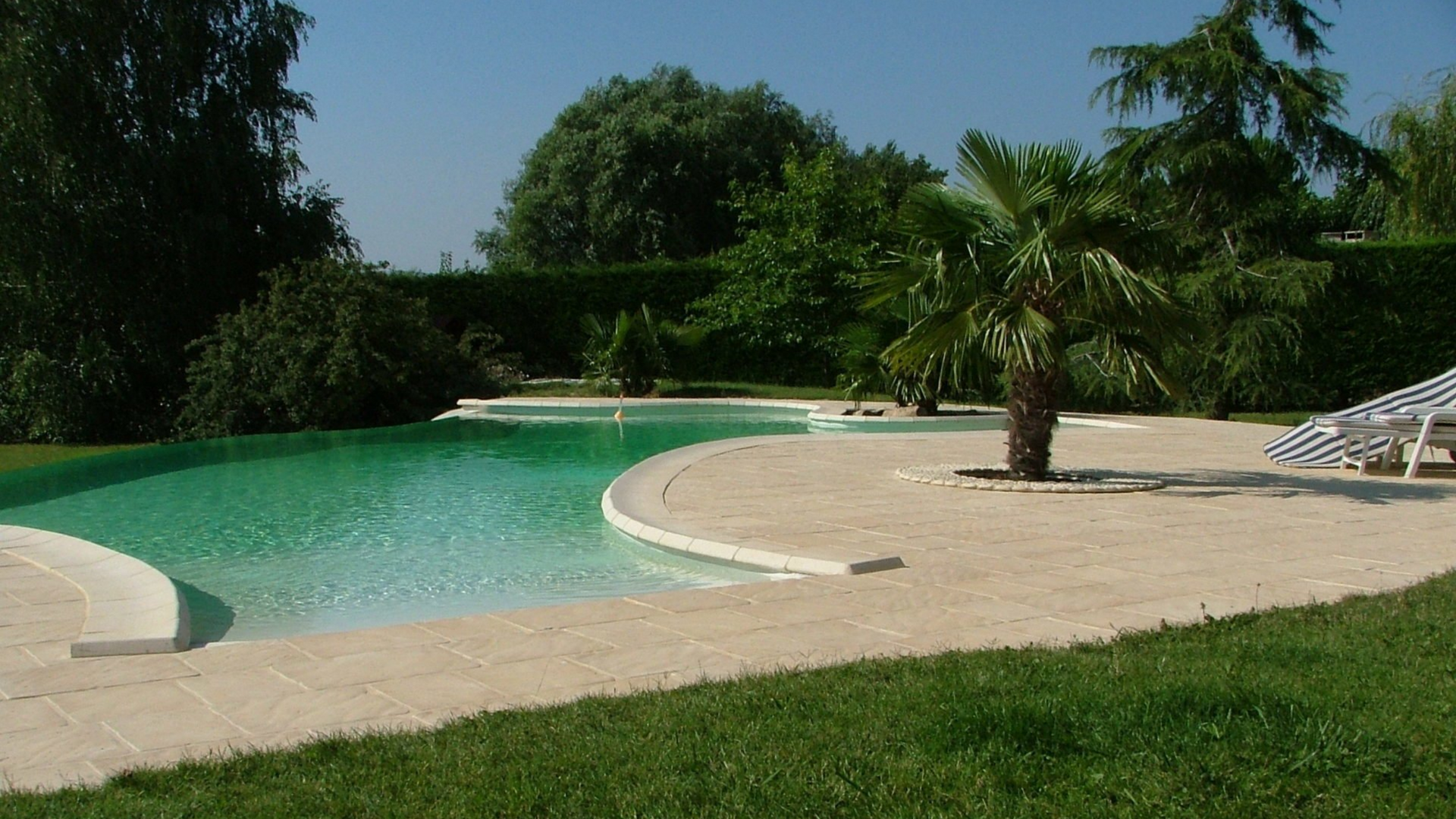 Piscine avec une zone sablonneuse, un palmier et une pelouse par une journée ensoleillée.