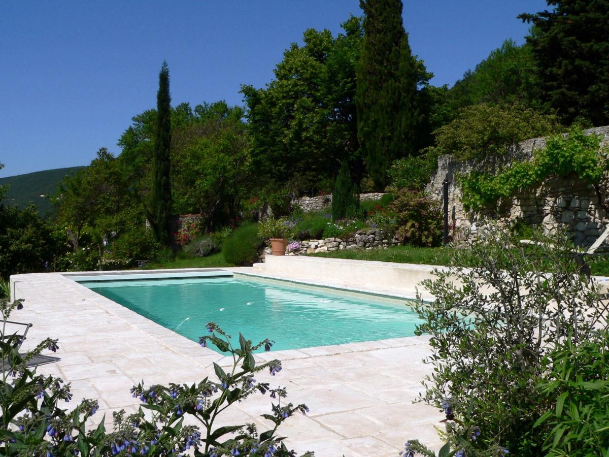 Piscine entourée de pierres et de verdure par une journée ensoleillée.