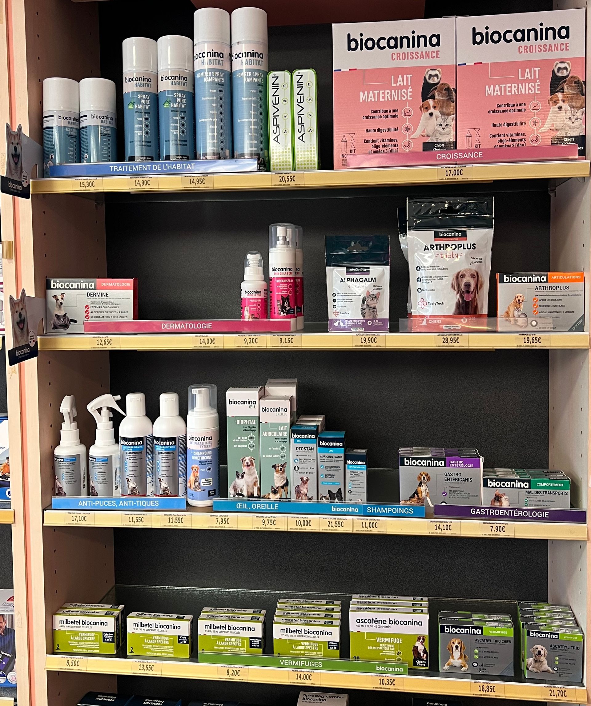 Des étagères remplies de produits de soins de la peau et de beauté assortis dans une allée de magasin.