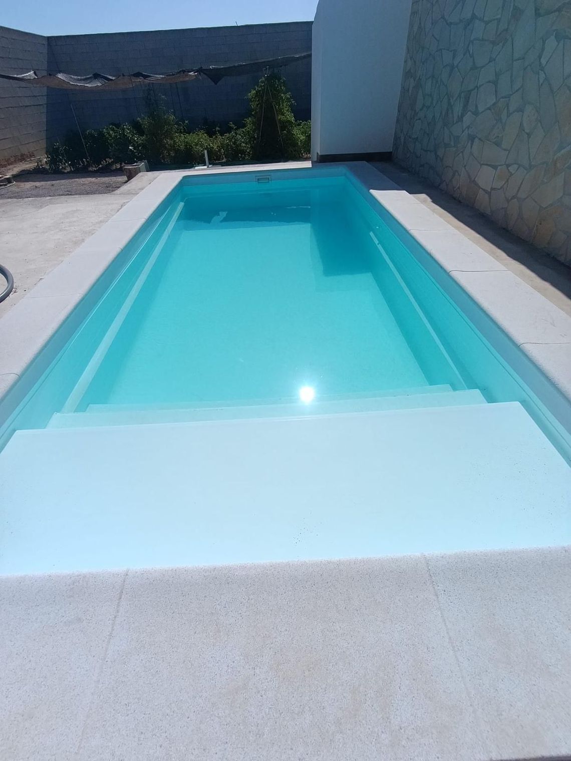 Piscina rodeada de paisajismo, una palmera y un cielo azul.
