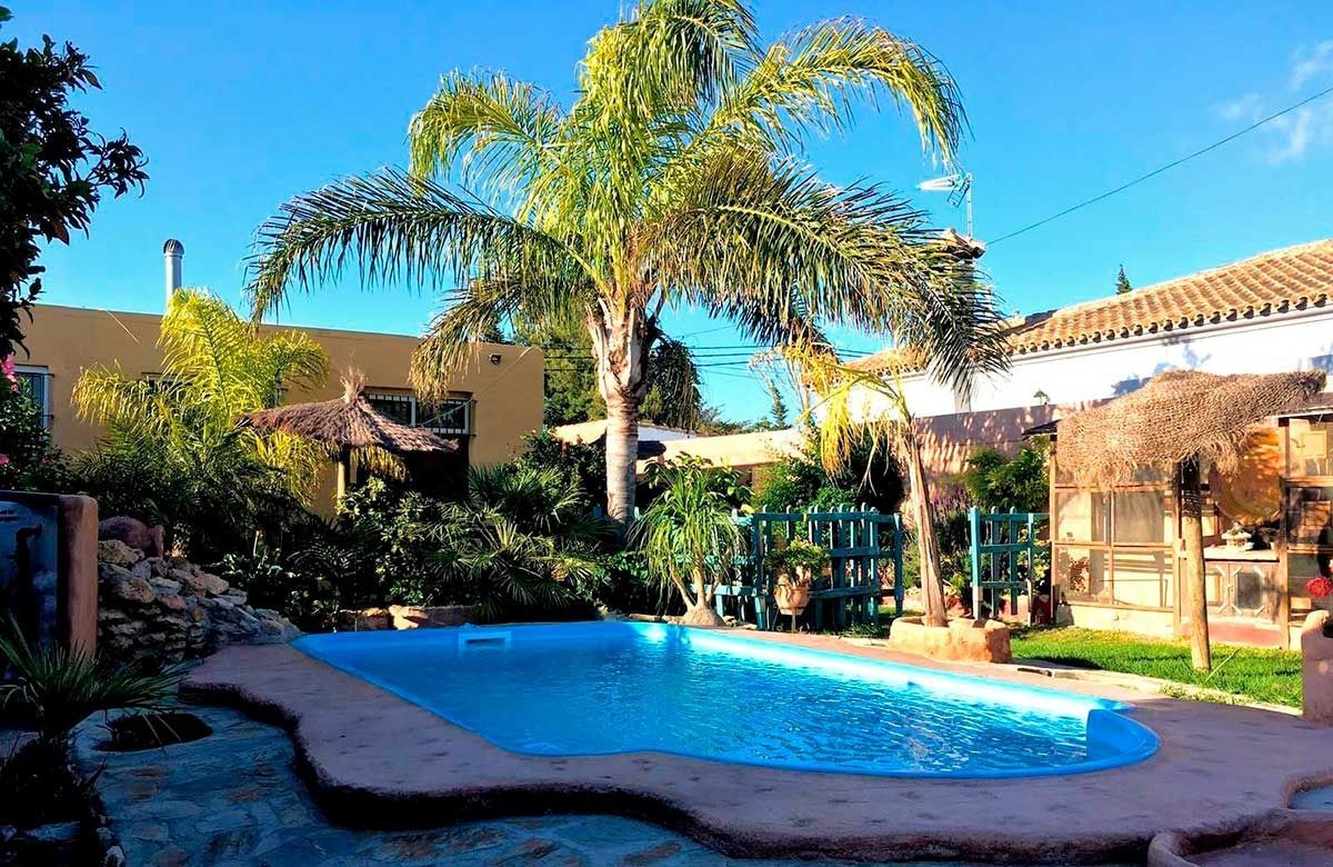 Piscina rodeada de paisajismo, una palmera y un cielo azul.
