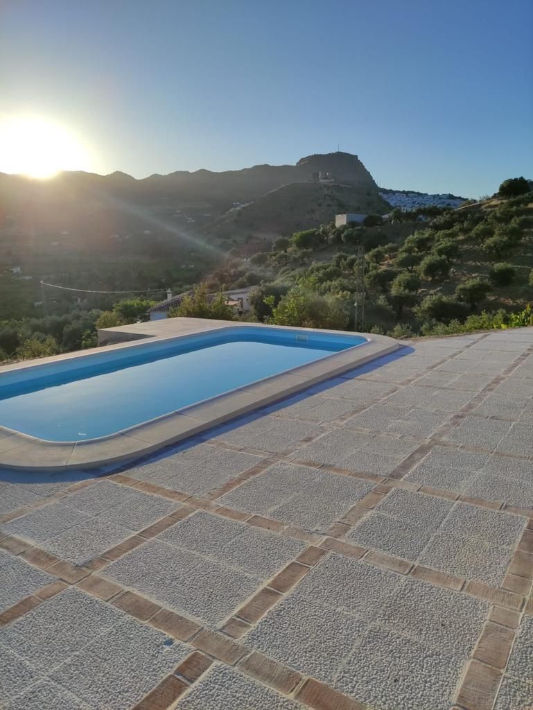 Piscina en el patio trasero con agua turquesa, rodeada de azulejos rojos y molduras blancas, con una sombrilla amarilla.