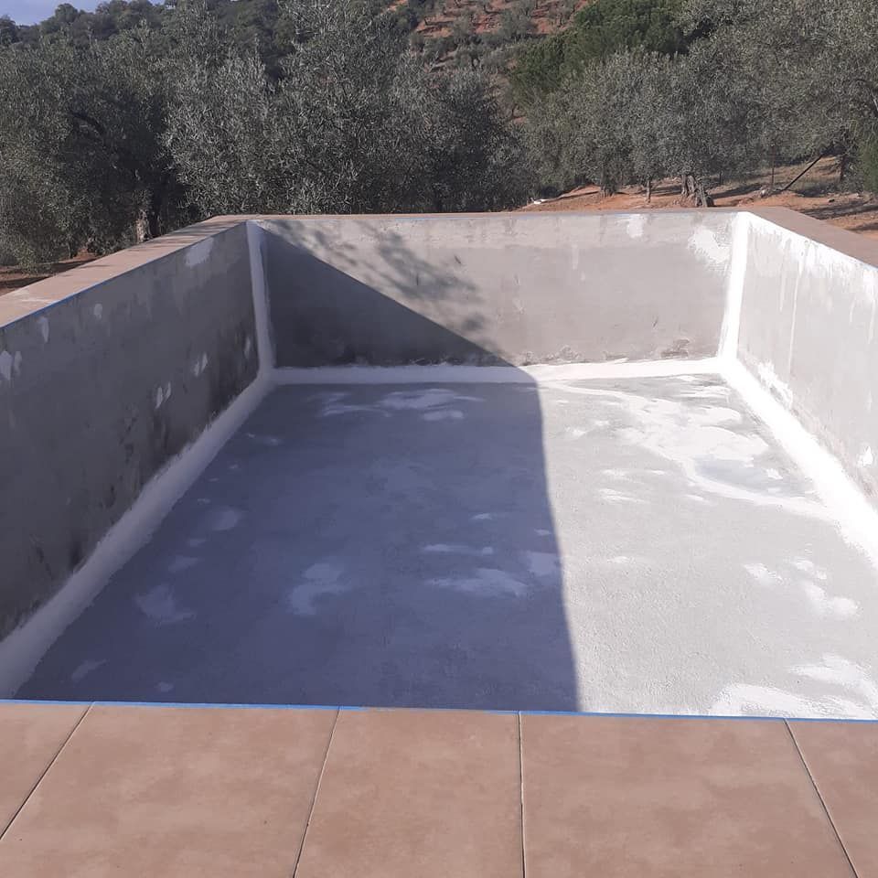 Piscina de hormigón vacía en un entorno al aire libre con olivos al fondo.