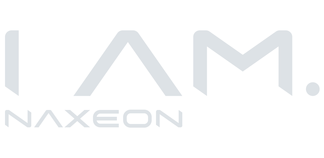 Logo NAxeon