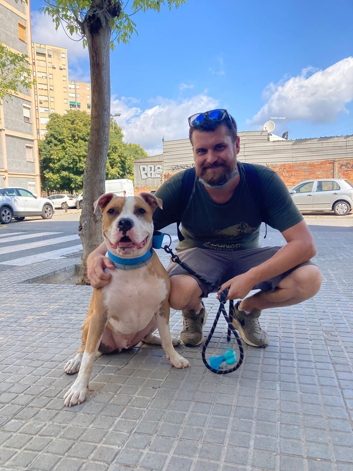 adiestramiento de perro