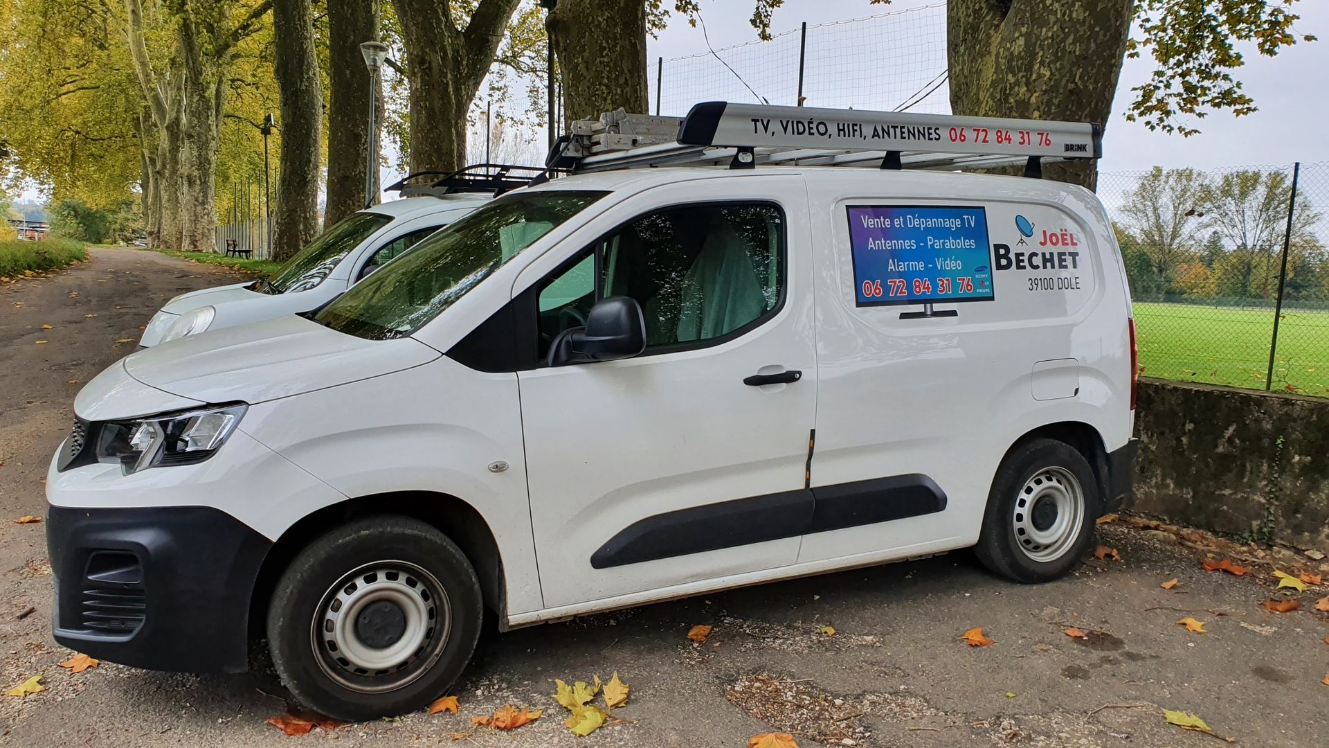 Camionnette blanche sous des arbres