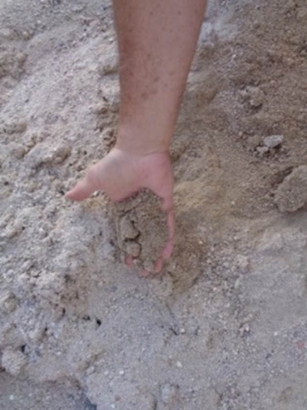 Une poignée de sable clair tenue dans la main d'une personne, à l'extérieur.