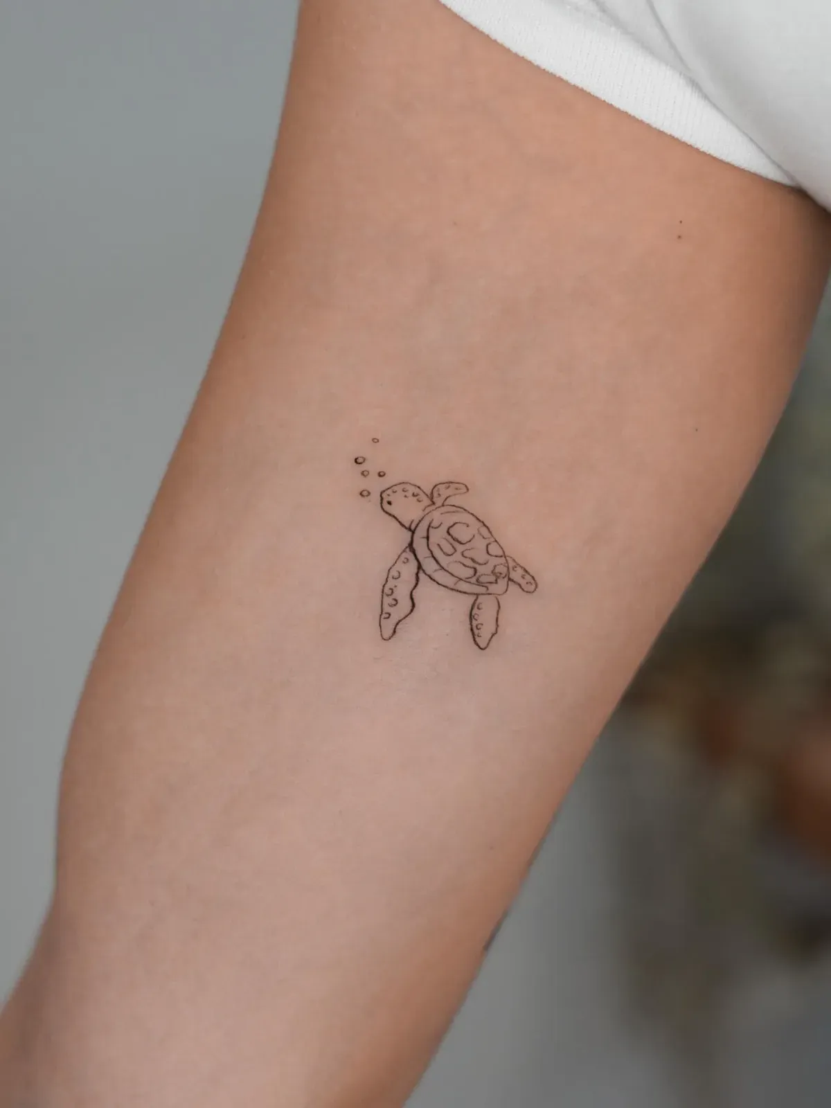 Pequeño contorno de un tatuaje de tortuga en el brazo de una persona.