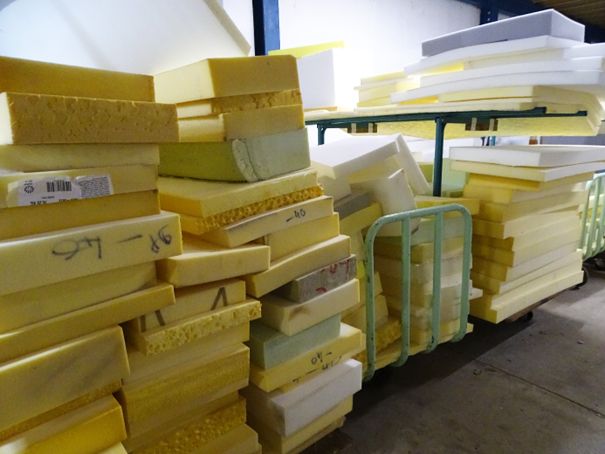 Rangées de mousses de différents modèles et tailles.