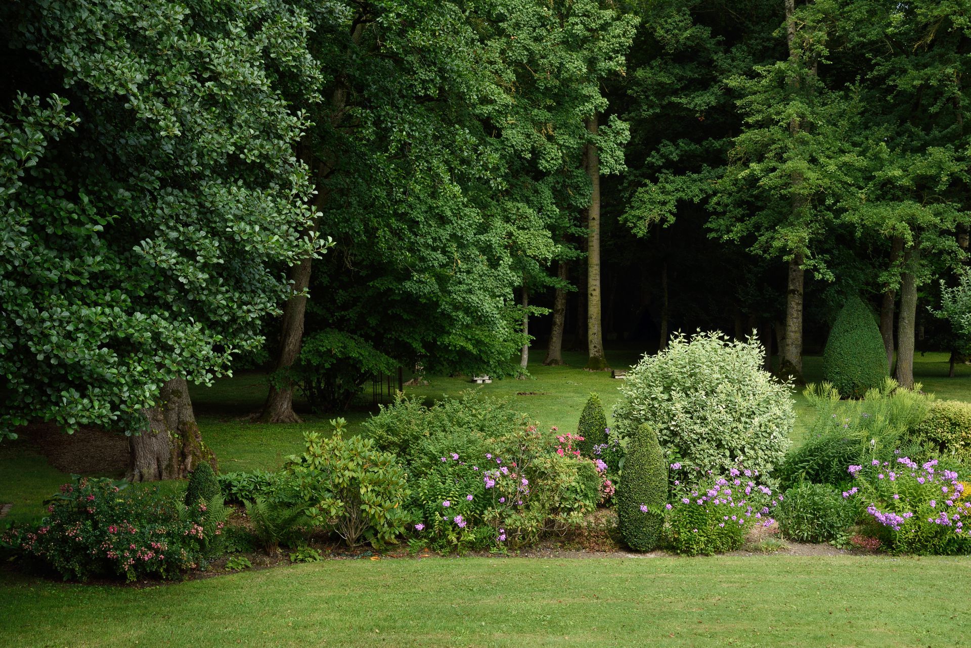 Bosquet entretenu à la lisière de la forêt