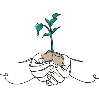 Deux mains retenant de la terre et un plant