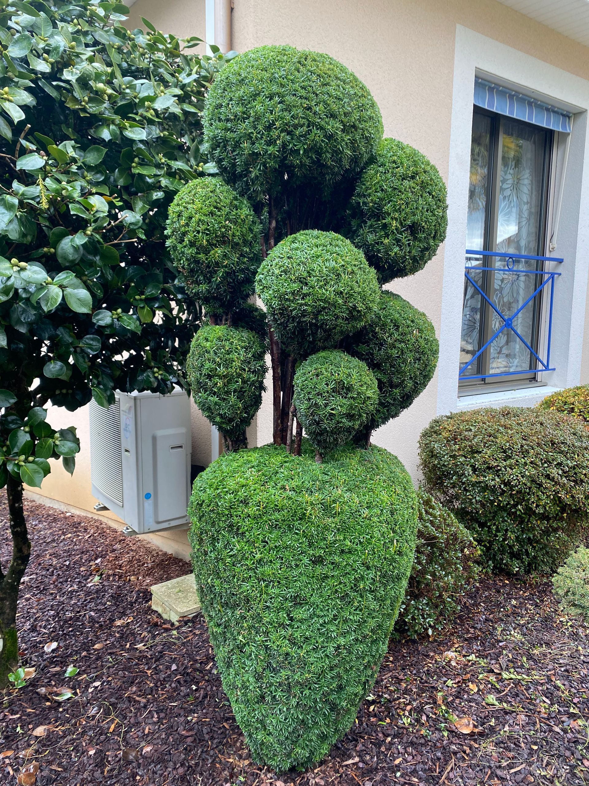 Taille de d'arbuste personnalisée