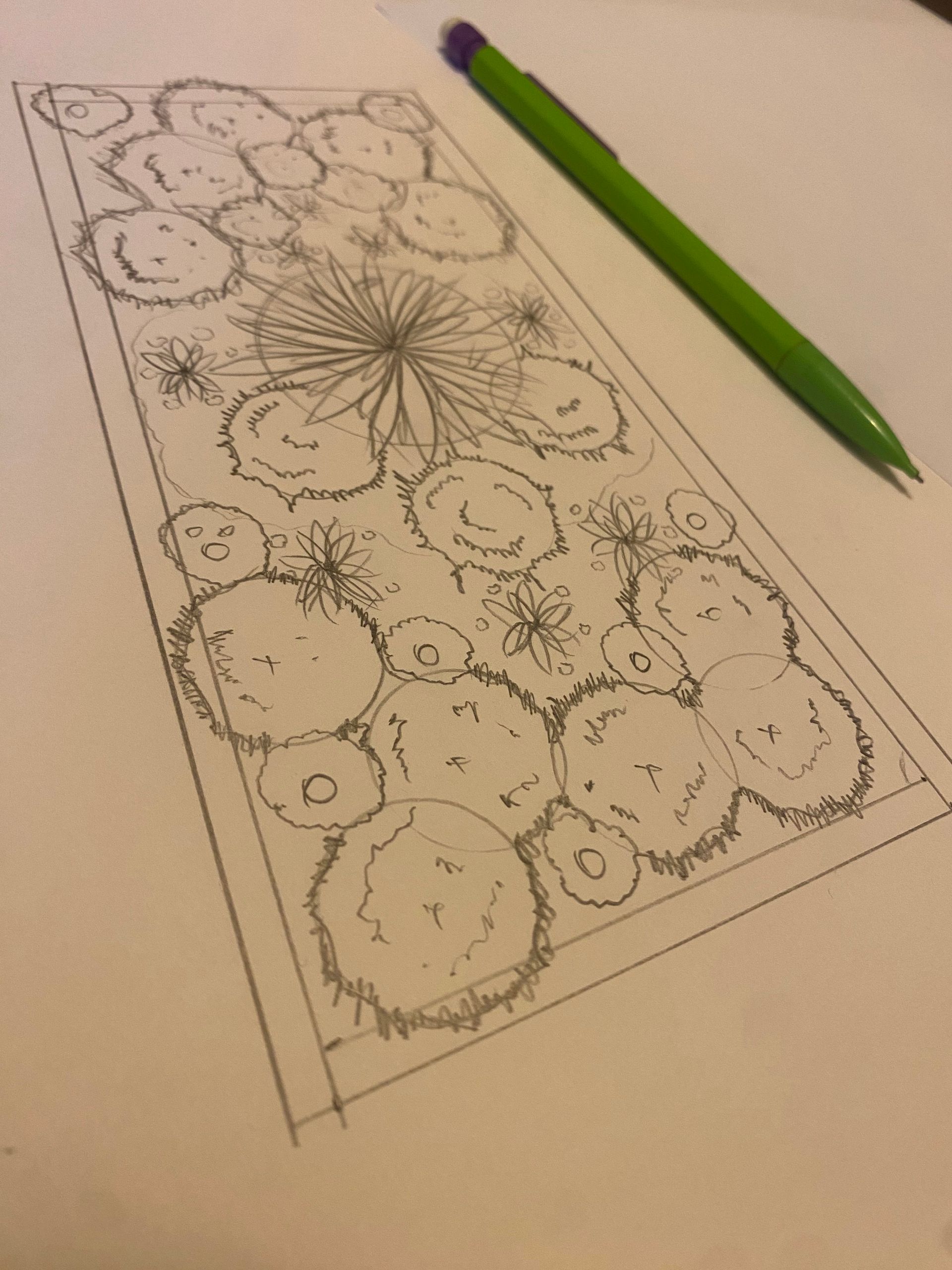 Photo d'un croquis d'aménagement de massifs