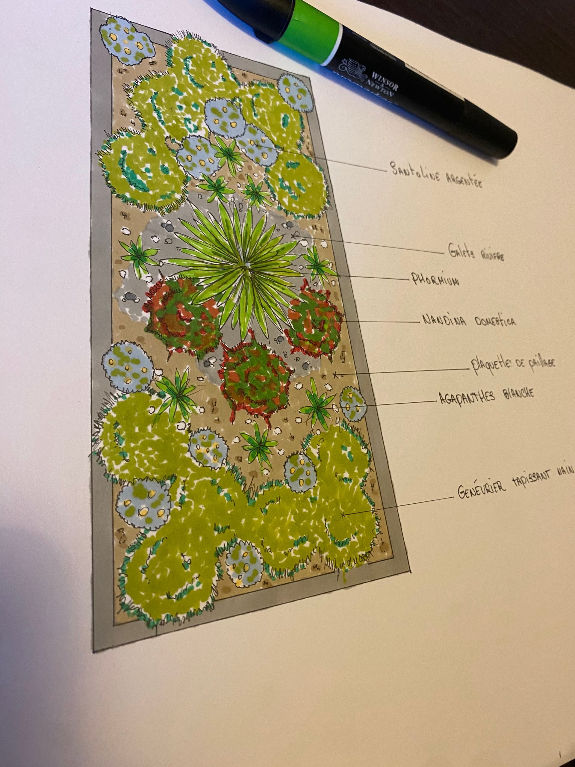Photo d'un dessin d'aménagement de massifs avec des couleurs