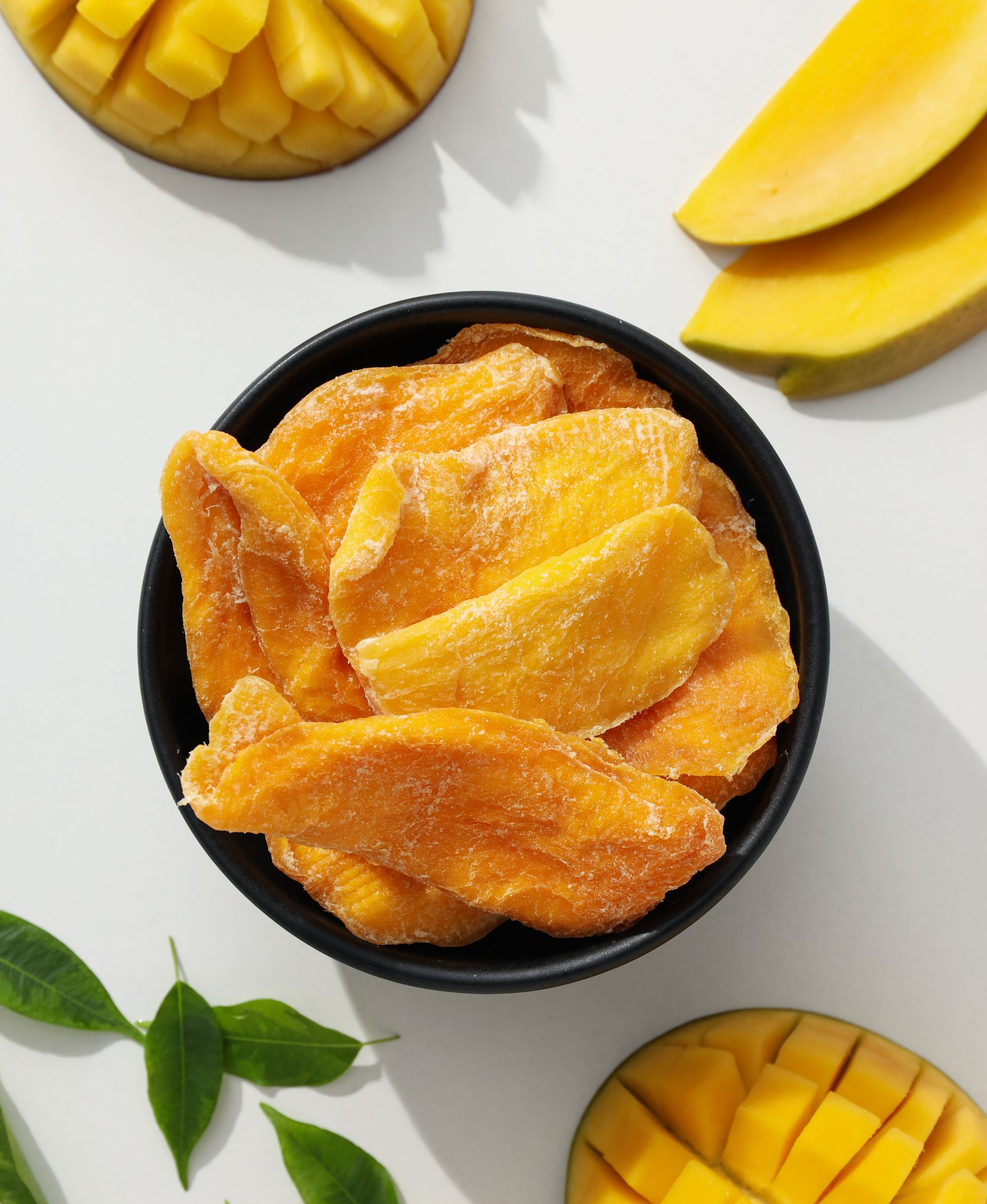 Main tenant un avocat à peau foncée sur une branche d'arbre, feuillage vert en arrière-plan.