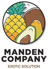 Logo de MANDEN COMPANY