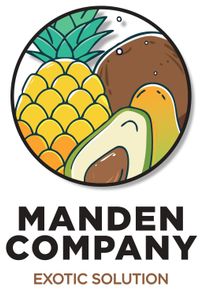 Logo de MANDEN COMPANY