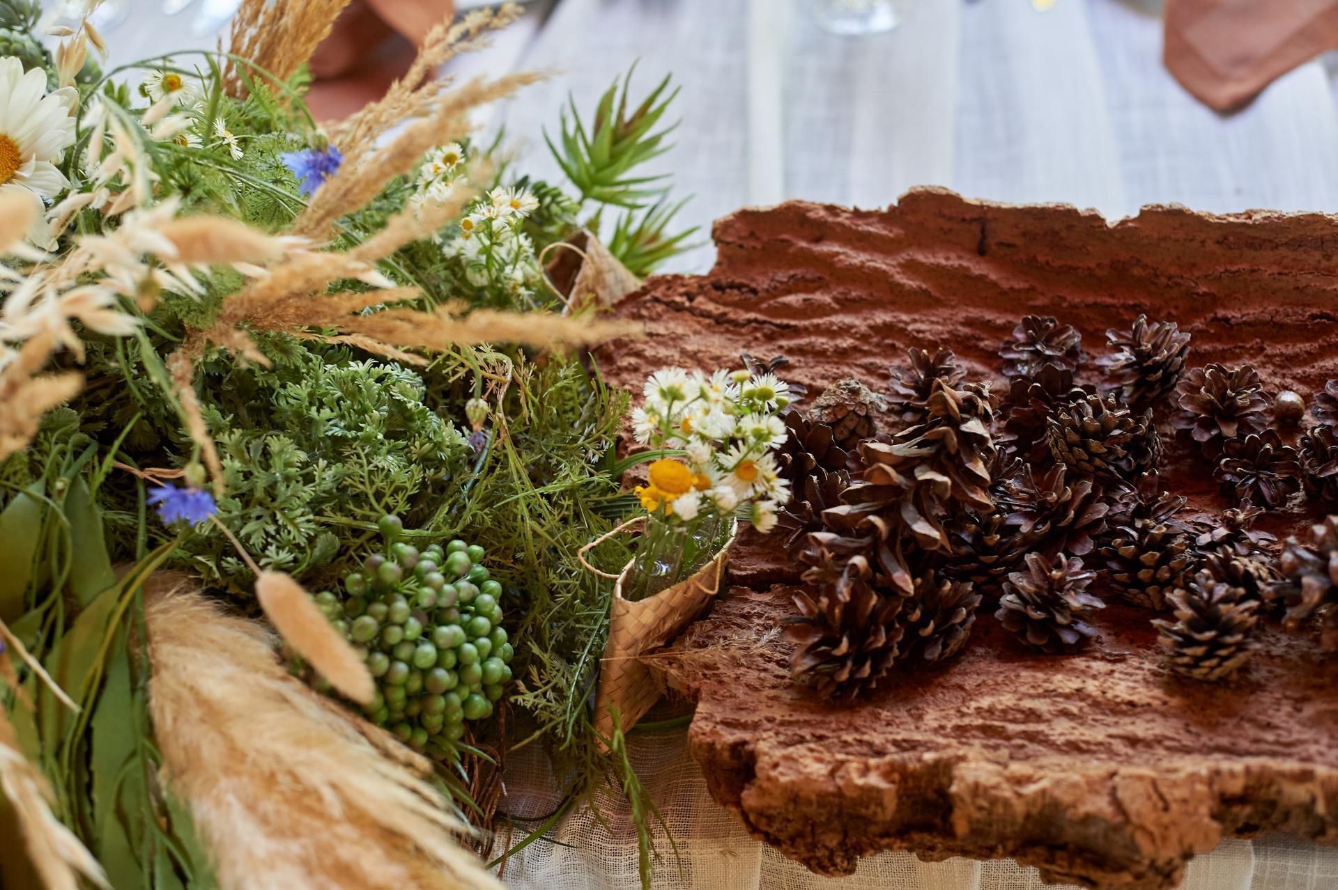 Dekoration und Pflanzen