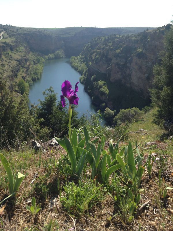 foto entorno montaña lago