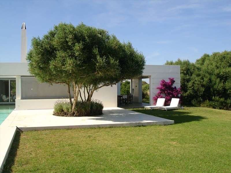 Exterior de casa blanca moderna con piscina, césped cuidado, árbol y tumbonas.