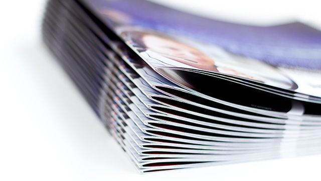 Focus sur catalogues