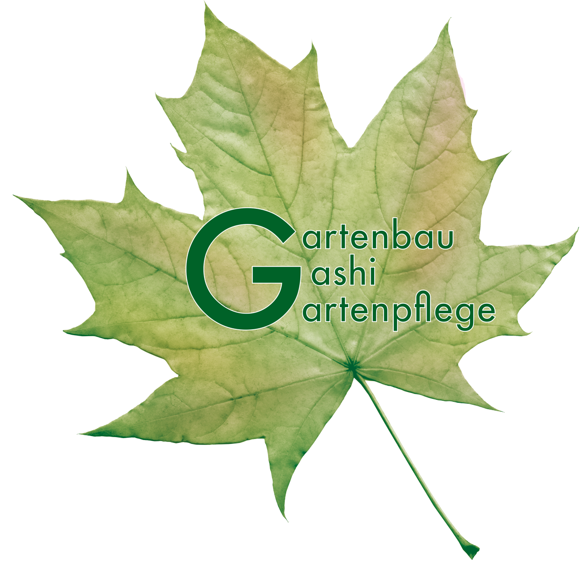 Logo Gashi Gartenbau & Gartenpflege