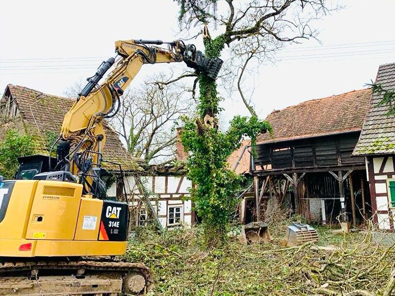Ein Cat-Bagger fällt einen Baum vor einem Haus.