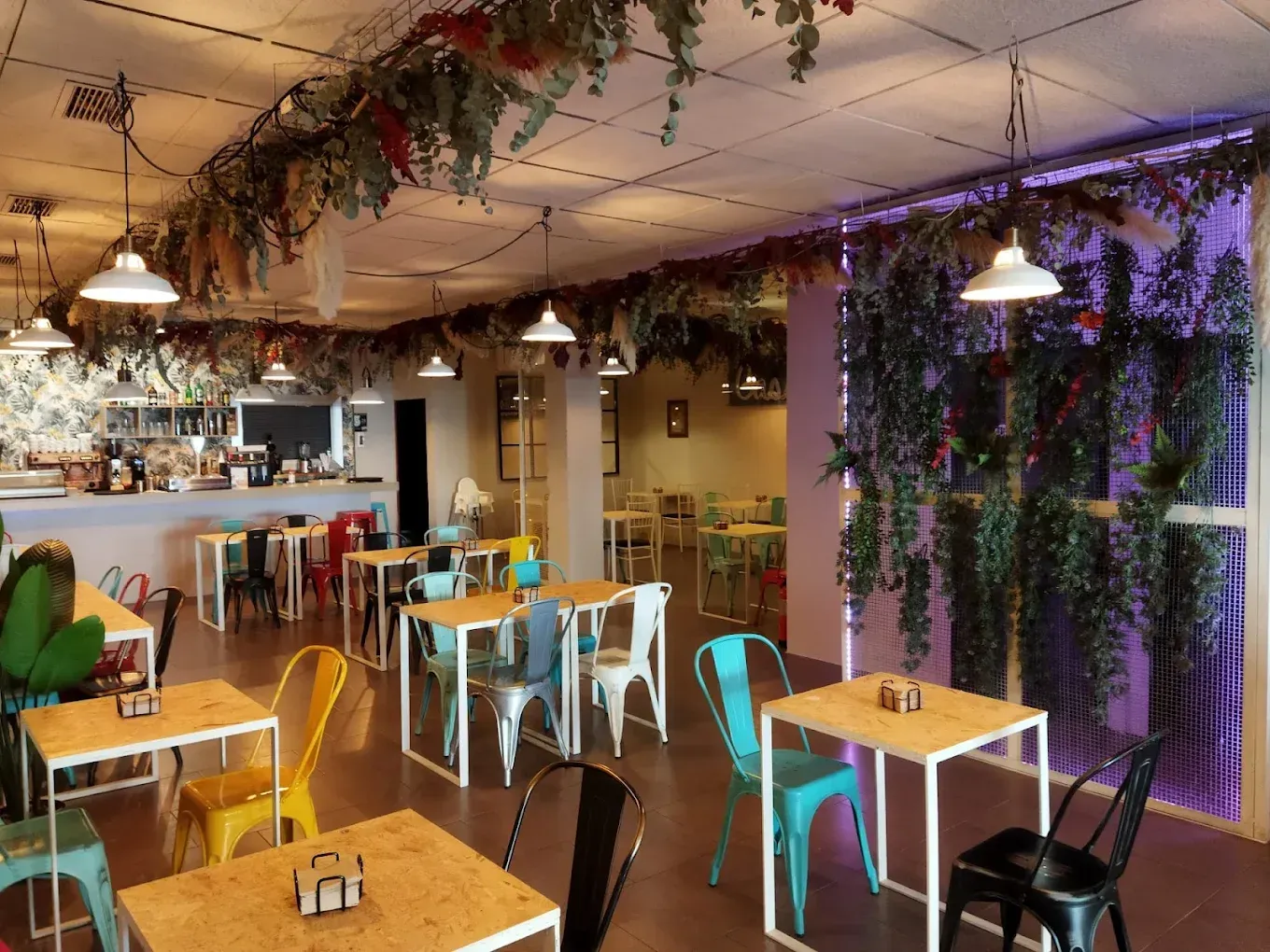 Una cafetería interior con mesas de madera, sillas de metal de colores y plantas colgantes suspendidas del techo.