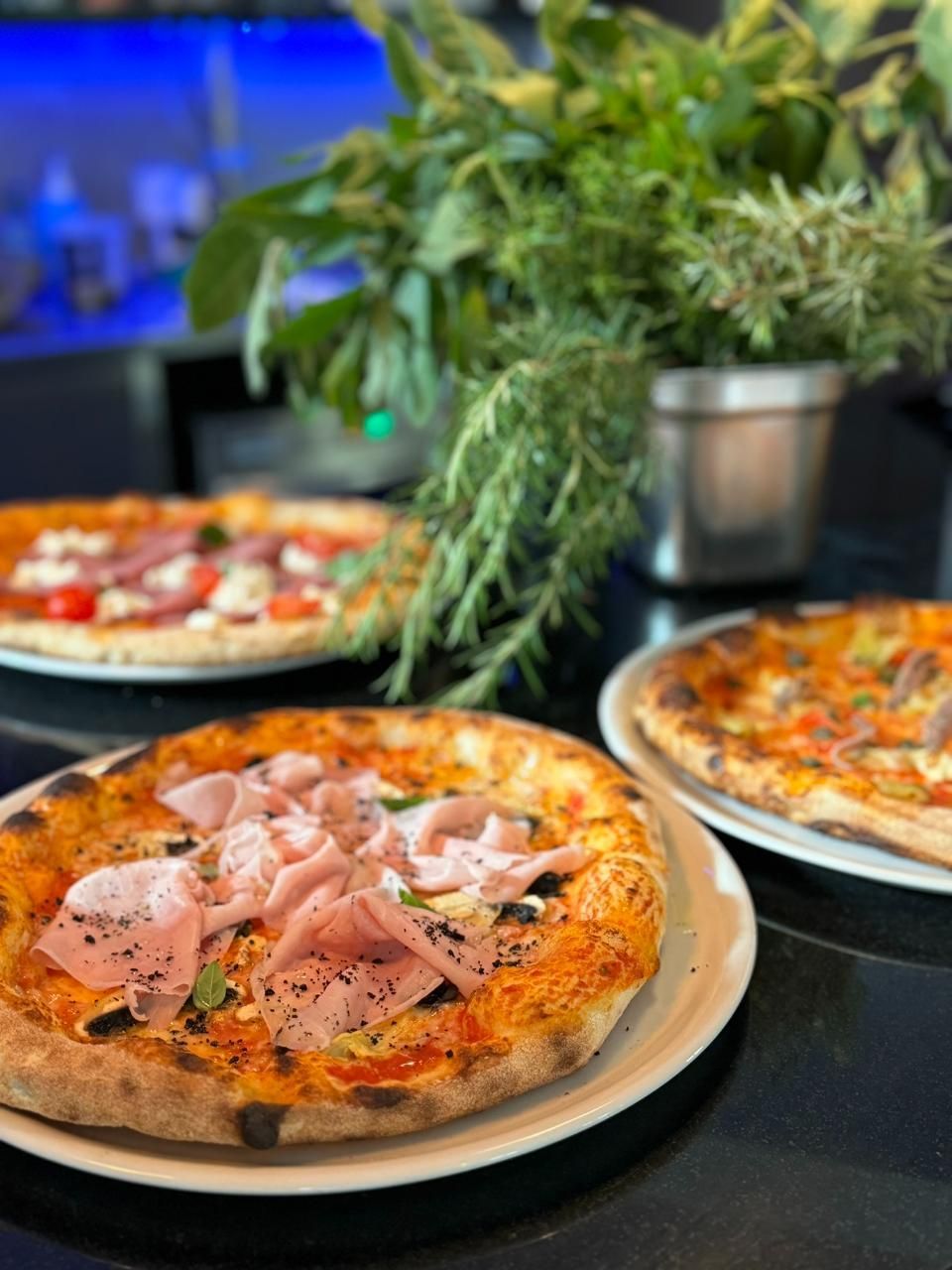 Drei Pizzen auf Tellern, dazu frische Kräuter in einem Metalltopf.
