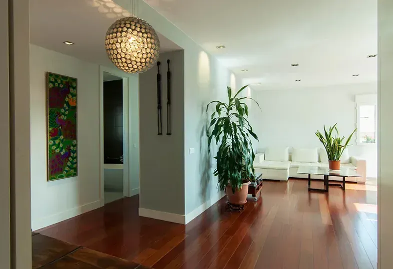 Pasillo con suelo de madera, paredes blancas y una gran planta, que da paso a una zona de estar con muebles blancos.