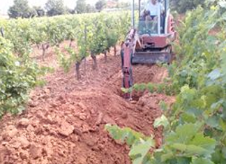 Terroirs viticoles au Domaine Richeaume (Puyloubier, 13)