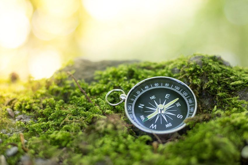 Auf einem moosbedeckten Felsen liegt ein Kompass.