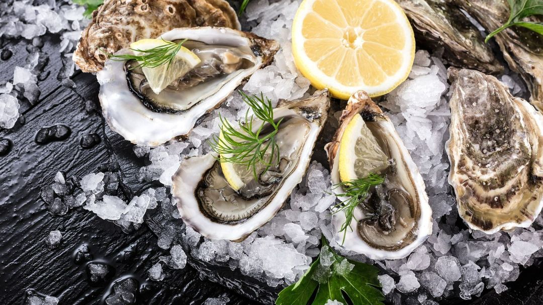 Huîtres ouvertes avec des tranches de citrons et de la glace pilées