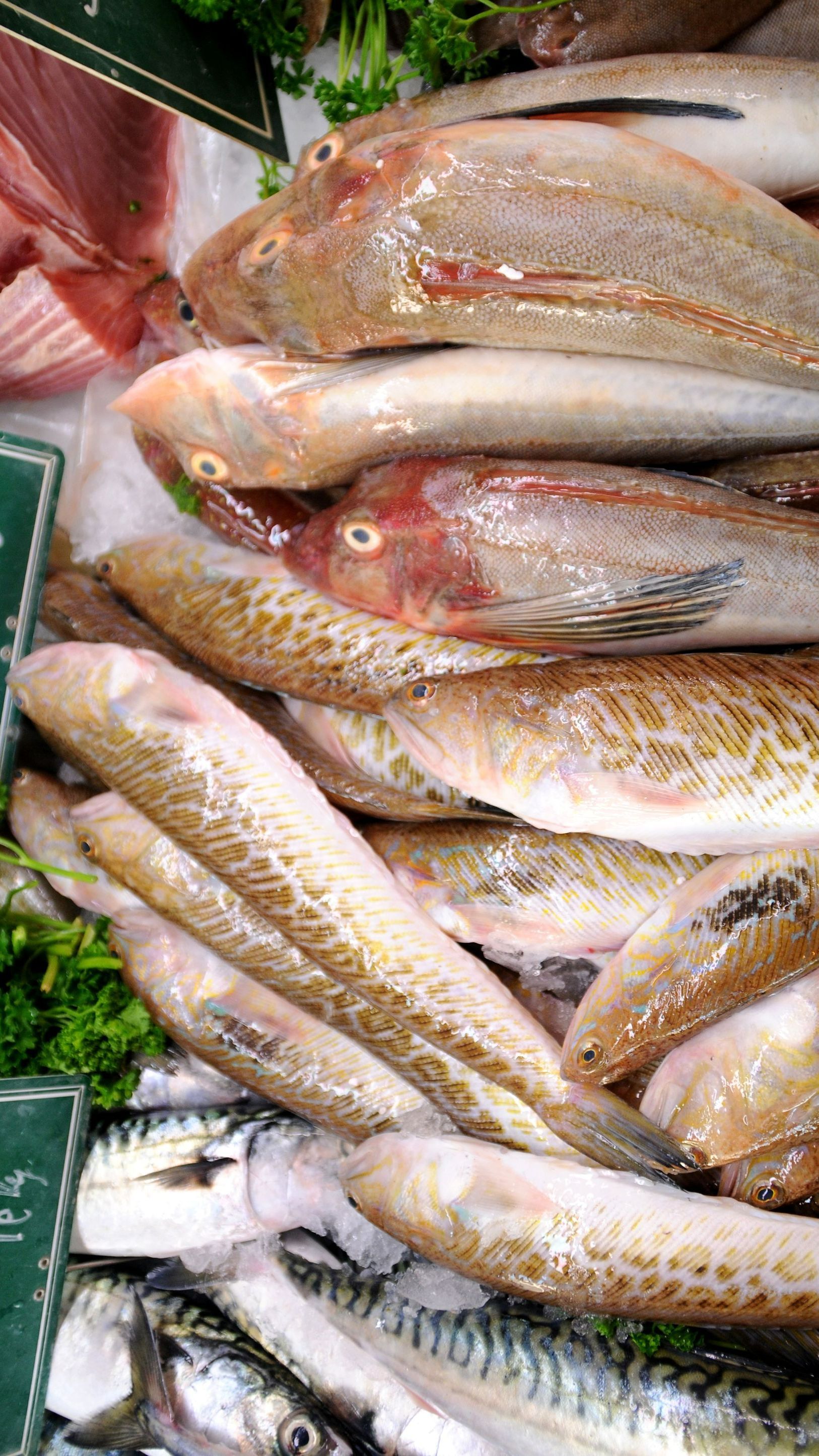 Zoom sur un étal de poissons 
