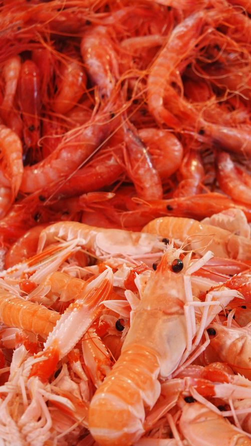 Zoom sur un plat de crevettes