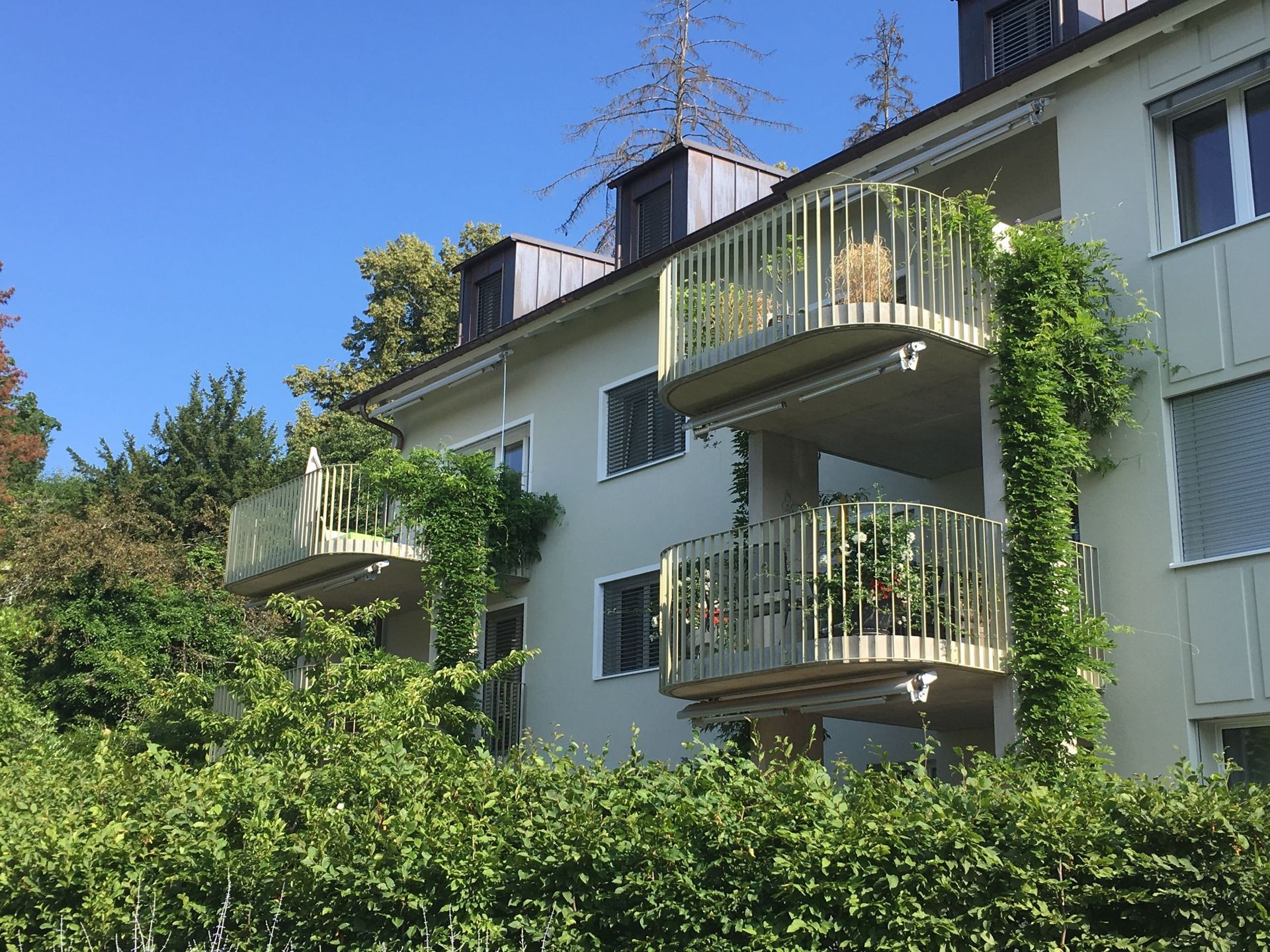 Villen Sanierung Balkone Balkongeländer