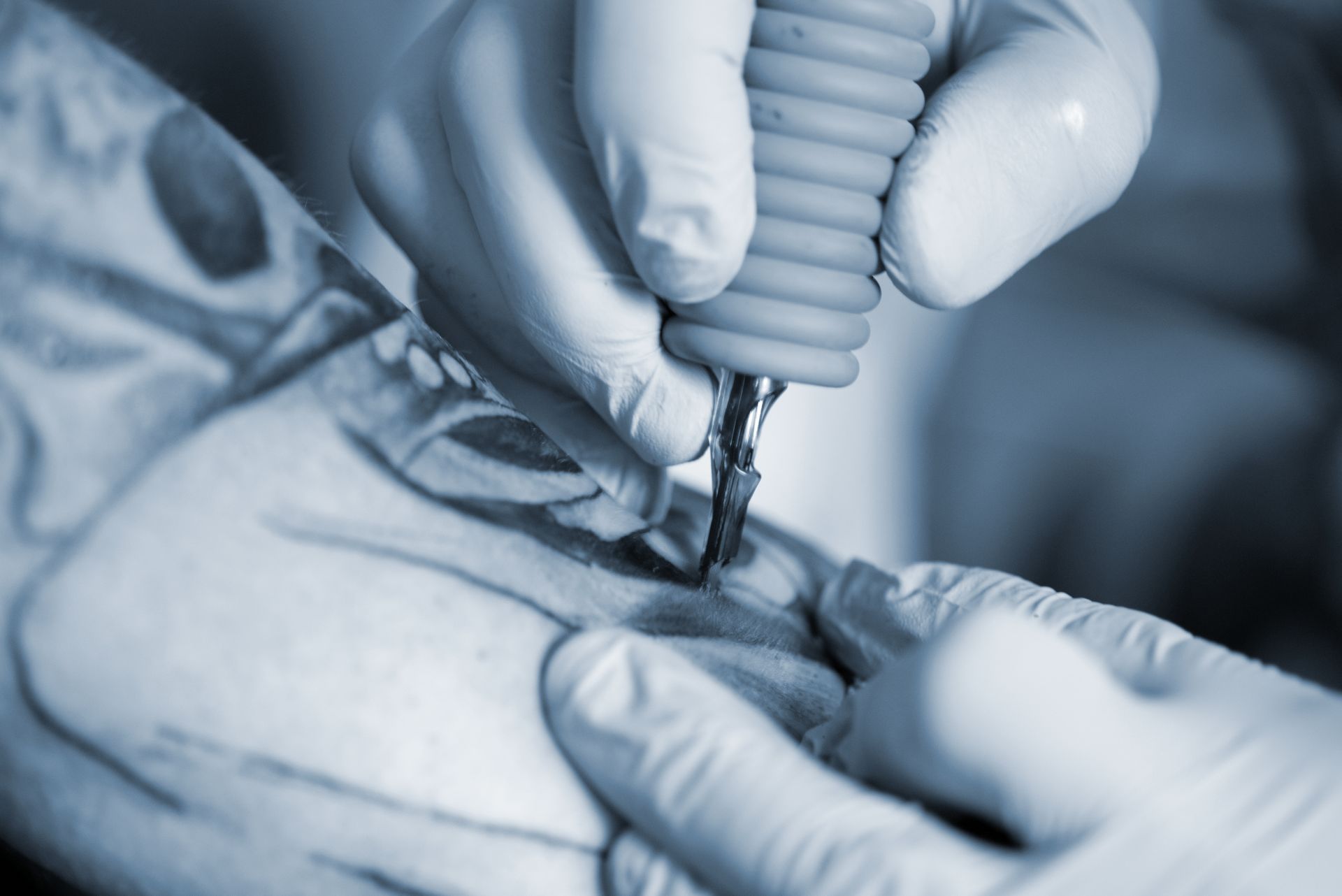Eine Person lässt sich tätowieren; die Hände in Handschuhen halten eine Tätowiermaschine und tragen Tinte auf die Haut auf.